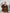 Fiamma Brown Striped Wool Oversized Jacket Skirt Suit Two-Piece