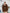 Fiamma Brown Striped Wool Oversized Jacket Skirt Suit Two-Piece