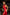 Adriana Red Satin Tie-Neck Halter Maxi Dress