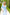 Eleonora Sky-Blue Floral-Print Midi Dress