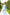 Eleonora Sky-Blue Floral-Print Midi Dress