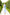 Eleonora Sky-Blue Floral-Print Midi Dress