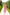 Eleonora Red Floral-Print Midi Dress