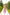 Eleonora Red Floral-Print Midi Dress