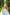 Chiara Sky-Blue Strappy Backless Midi Dress