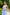 Chiara Sky-Blue Strappy Backless Midi Dress