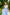 Chiara Sky-Blue Strappy Backless Midi Dress