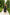Chiara Black Strappy Backless Midi Dress
