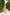 Chiara Dusty Pink Strappy Backless Midi Dress