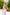 Adriana Grey Halter Bow Backless Wide-Leg Jumpsuit