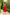 Eleonora Red V-Neck Slip Midi Dress