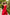 Eleonora Red V-Neck Slip Midi Dress