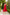 Eleonora Red V-Neck Slip Midi Dress