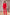 Adriana Red Single-Breasted Two-Piece Suit