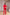 Adriana Red Single-Breasted Two-Piece Suit