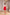 Chiara Red Collared Sleeveless Crepe Mini Dress
