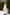 Eleonora White V-Neck Crepe Slip Dress
