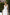 Eleonora White V-Neck Crepe Slip Dress