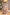 Adriana Brown Satin Tie-Neck Halter Maxi Dress