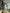 Adriana Green Thigh-Slit Maxi Dress