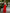 Adriana Red High Waist Slit Cuff Culottes