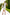 Beatrice White Wrap Sleeveless Mini Dress