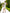 Beatrice White Wrap Sleeveless Mini Dress