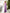 Adriana Purple Strapless V-Neck Culotte Jumpsuit