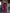Camilla Bordeaux High Waist Fitted Palazzo Pants
