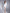 Adriana White Square Neck Long Sleeve Tulip Mini Dress