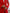 Aurora Red Crepe Single-Breasted Two-Piece Suit