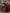 Isabella Red Satin Asymmetric One-Shoulder Maxi Dress