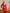 Adriana Red Sweetheart Top & Midi Skirt Two-Piece Set