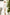 Eleonora White Long-Sleeve Thigh-Slit Maxi Dress