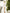 Eleonora White Long-Sleeve Thigh-Slit Maxi Dress
