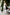 Aurora White High Waist Wide Leg Slit Pants