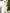 Eleonora White Long-Sleeve Thigh-Slit Maxi Dress