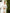 Eleonora White Long-Sleeve Thigh-Slit Maxi Dress