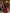 Mirella Bordeaux Long-Sleeve Cut-Out Maxi Dress