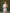 White Satin One-Shoulder Cut-Out Midi Dress