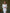 White Satin Long Sleeve Midi Dress