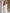 Lorenza White Heavy Satin Bow Back Midi Dress