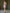 Aurora Gold One-Shoulder Satin Mini Dress