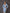 Fiamma Sky-Blue Puff Sleeve Structured Midi Dress