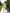 Fiamma White Square-Neck Puff Sleeve Mini Dress