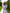 Fiamma White Square-Neck Puff Sleeve Mini Dress
