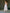 Beatrice White Satin Corseted Strapless Midi Dress