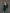Fiamma Emerald Puff Sleeve Structured Midi Dress