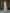 Beatrice Beige Satin Corseted Strapless Midi Dress