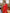 Chiara Red Double-Breasted Crepe Two-Piece Suit